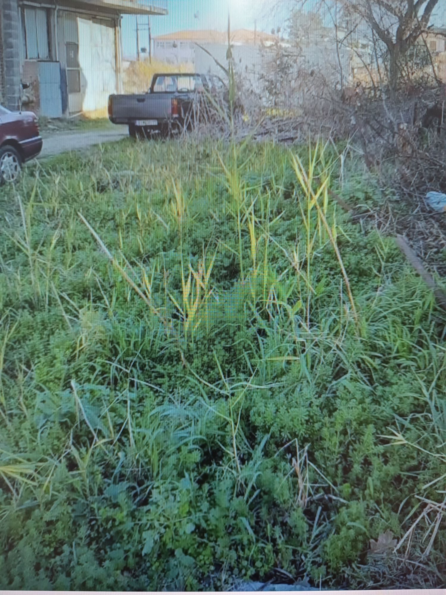 Οικόπεδο  σε πλειστηριασμό Δήμος Λεβαδέων