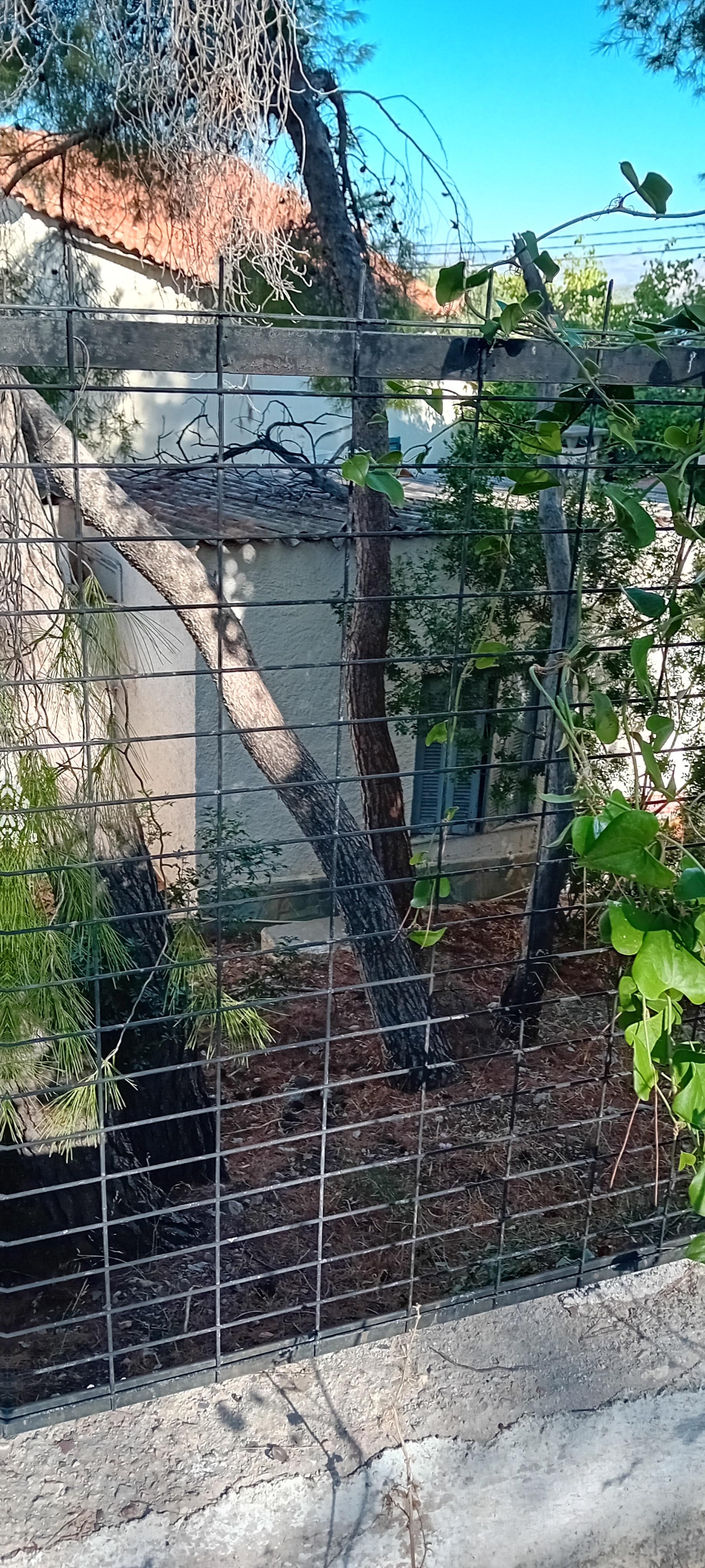 Κατοικία  σε πλειστηριασμό Municipality of Salamina