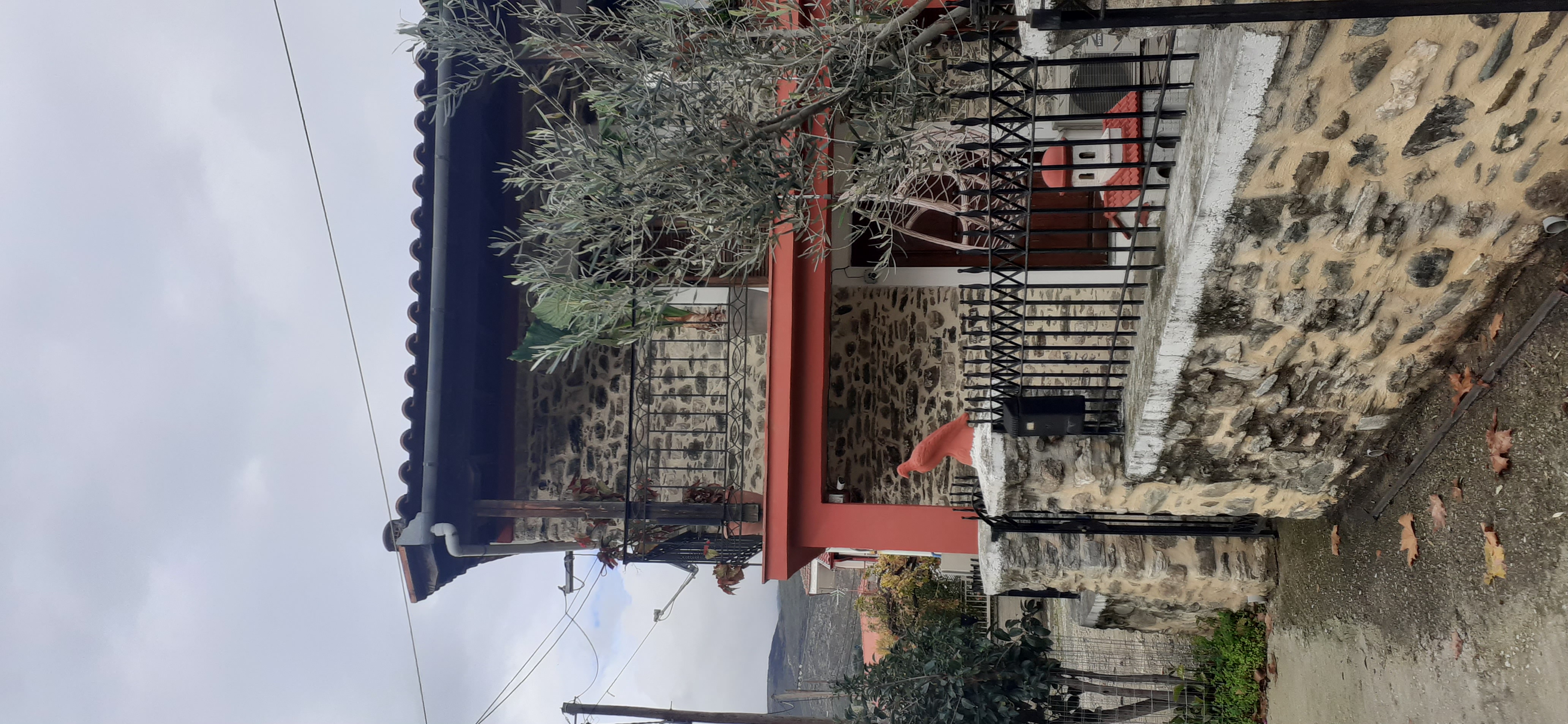 Οικόπεδο  σε πλειστηριασμό Δήμος Αγιάς