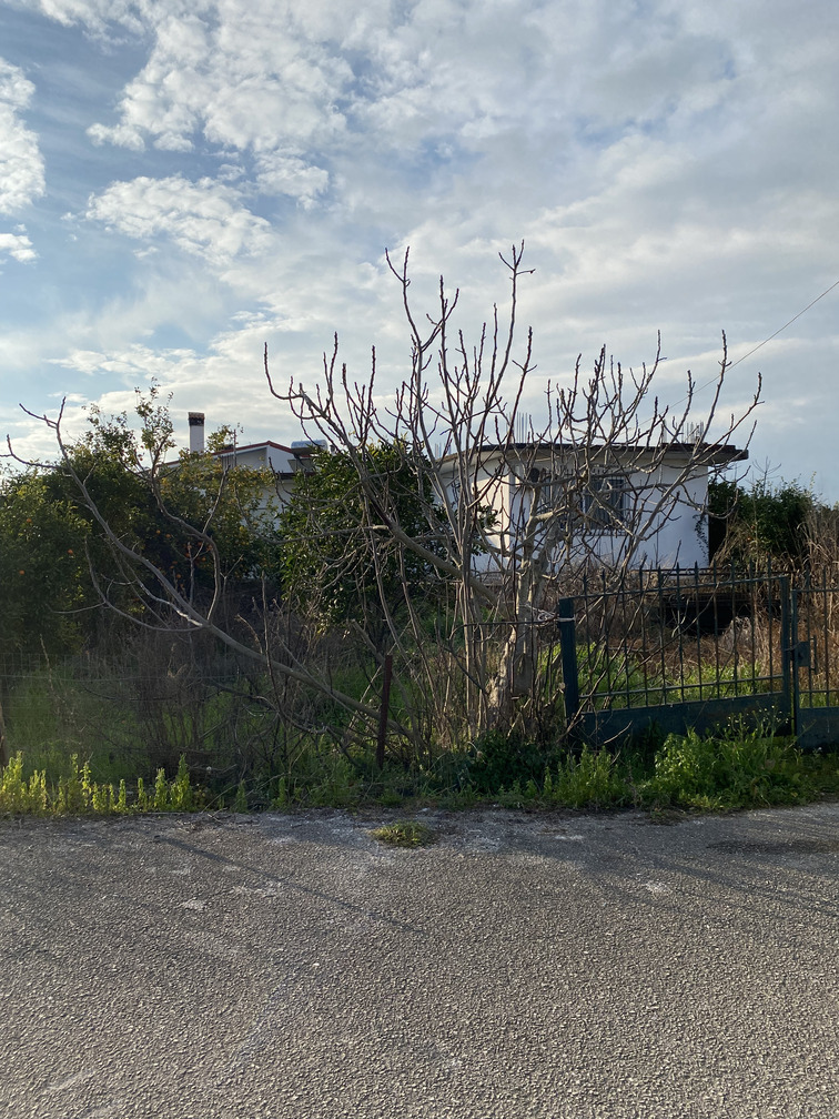 Οικόπεδο με κτίσμα  σε πλειστηριασμό Δήμος Αρταίων