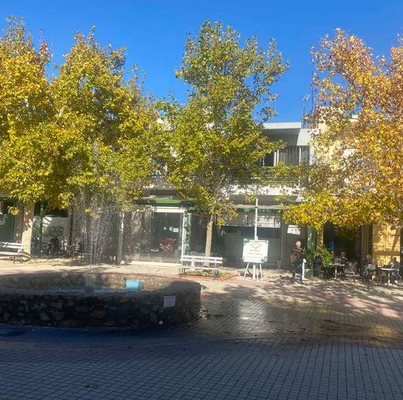 Οικόπεδο με κτίσμα  σε πλειστηριασμό Δήμος Φυλής