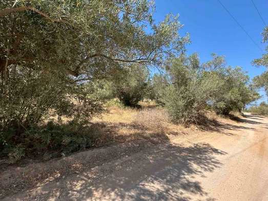 Αγροτεμάχιο  σε πλειστηριασμό Δήμος Χαλκιδέων