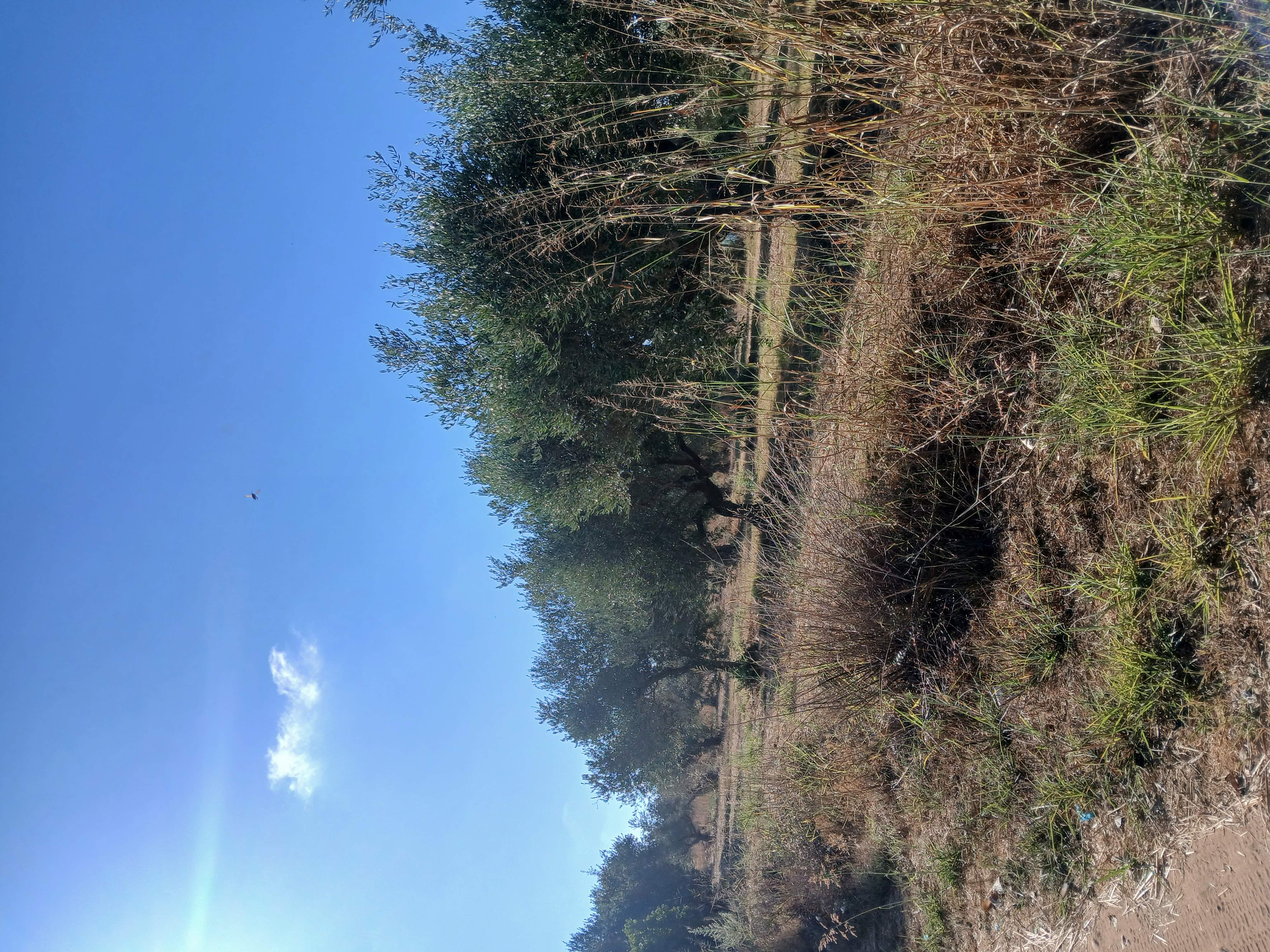 Κατοικία 77.60 τ.μ. σε πλειστηριασμό Δήμος Ήλιδας