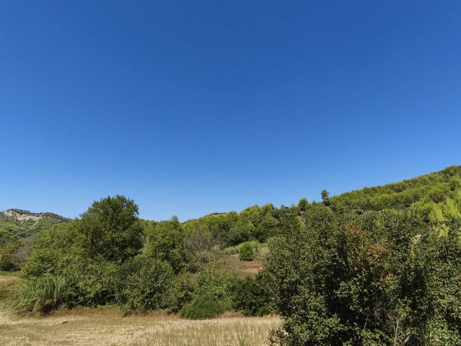 Αγροτεμάχιο 8037 τ.μ. σε πλειστηριασμό Δήμος Ήλιδας