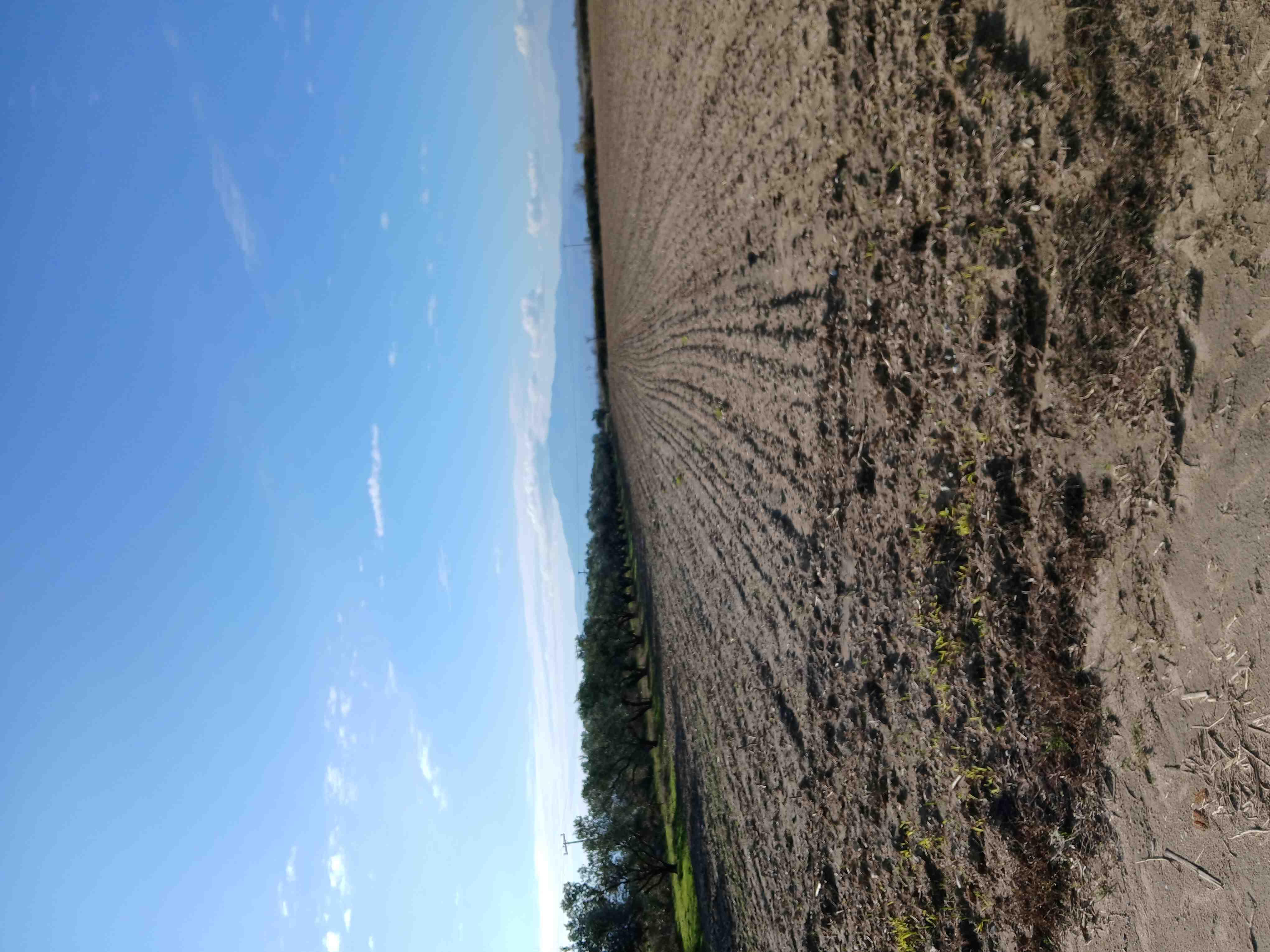 Αγροτεμάχιο  σε πλειστηριασμό Municipality of Sintiki