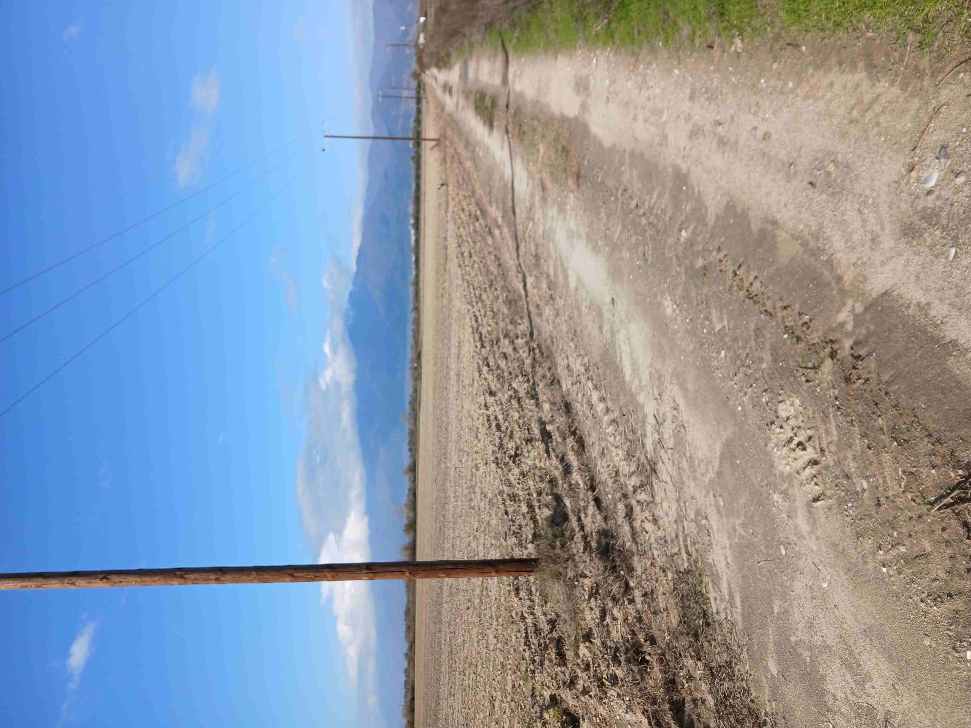 Αγροτεμάχιο  σε πλειστηριασμό Municipality of Sintiki