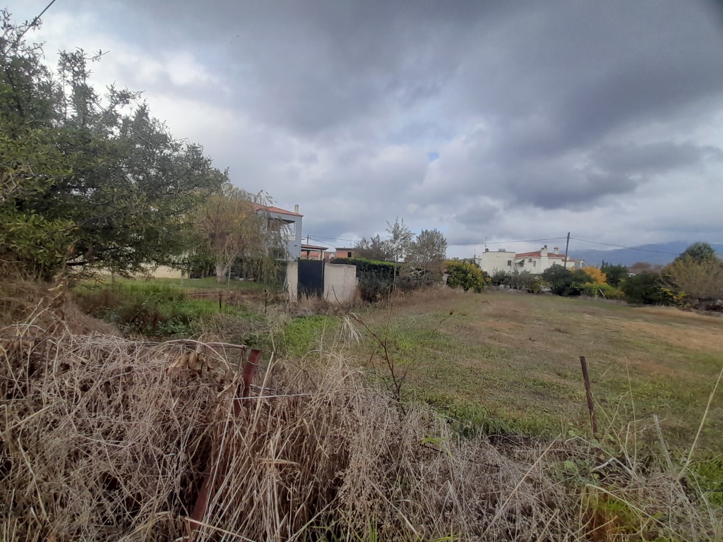 Οικόπεδο 195.47 τ.μ. σε πλειστηριασμό Δήμος Κύμης - Αλιβερίου