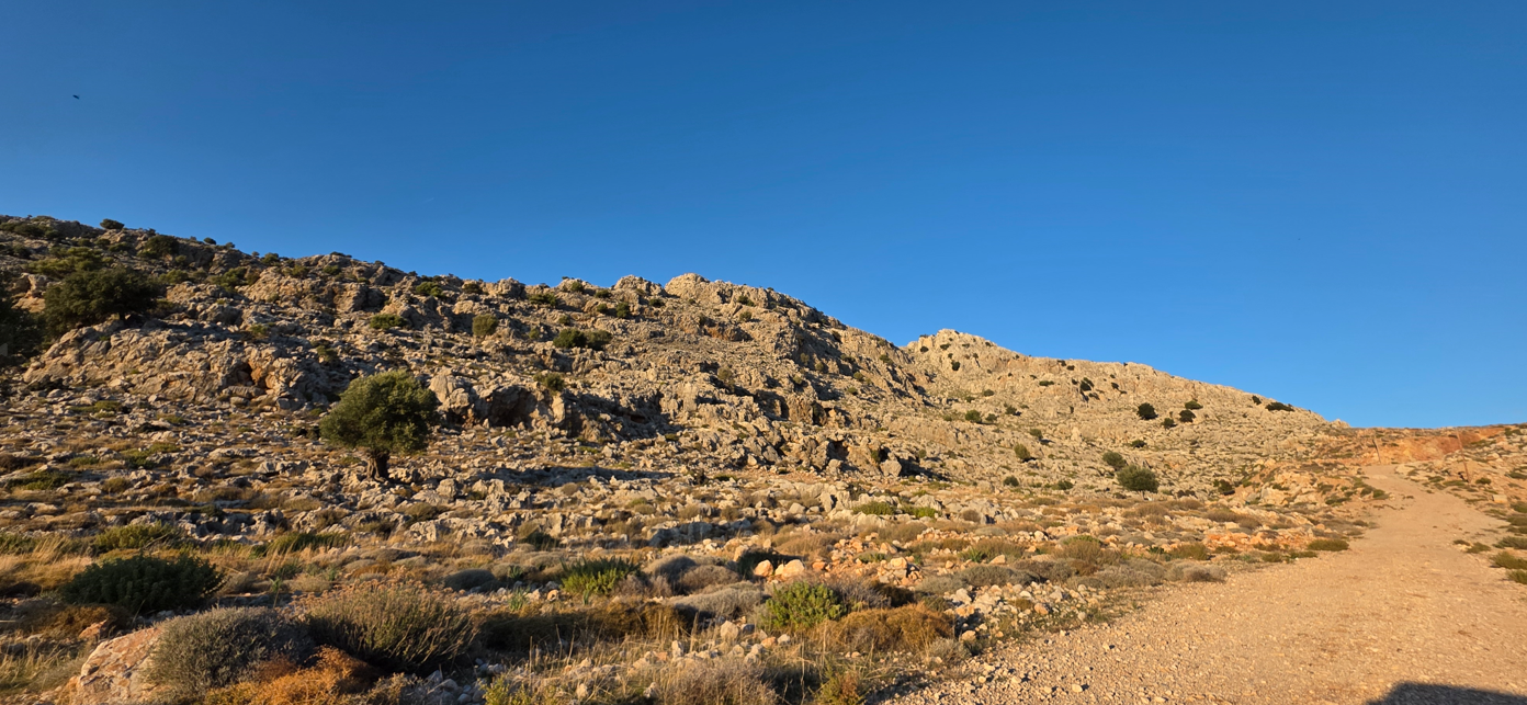 Αγροτεμάχιο  σε πλειστηριασμό Δήμος Ρόδου