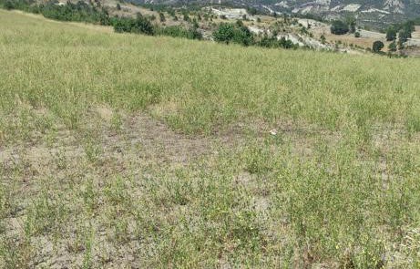 Αγροτεμάχιο 76 τ.μ. σε πλειστηριασμό Δήμος Γρεβενών