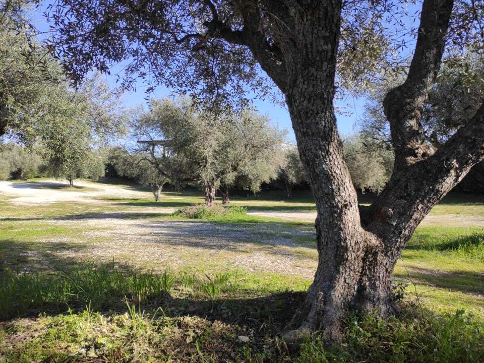 Βιομηχανικός / Βιοτεχνικός Χώρος  σε πλειστηριασμό Municipality of Patreon