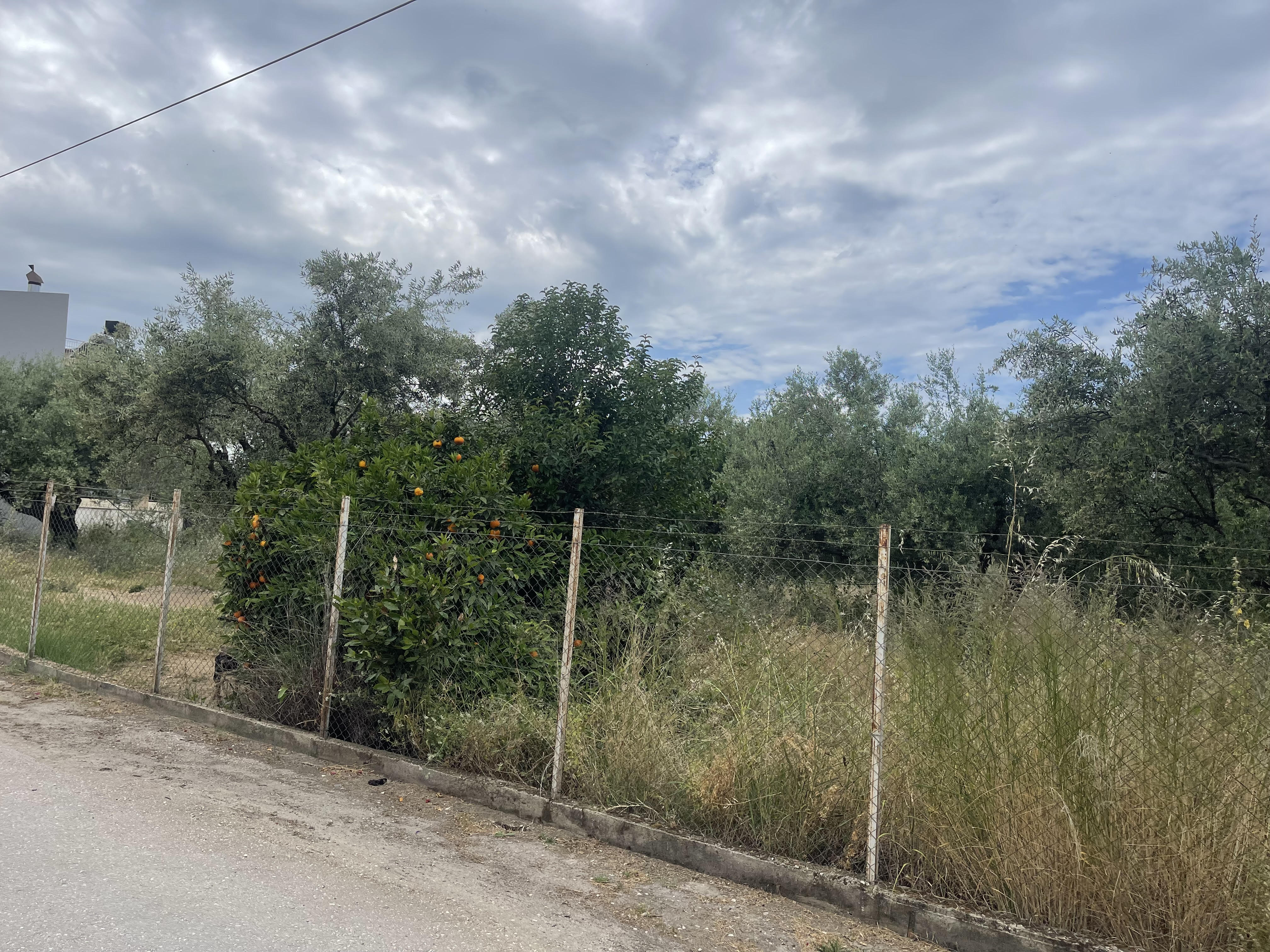 Οικόπεδο  σε πλειστηριασμό Δήμος Πατρέων