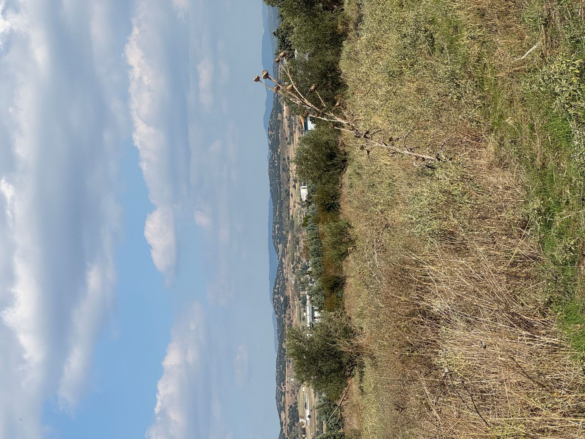 Αγροτεμάχιο  σε πλειστηριασμό Municipality of Lagada