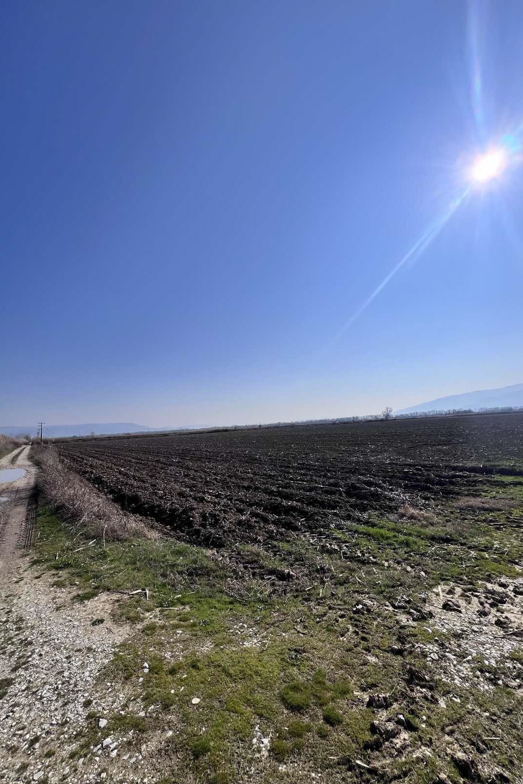 Αγροτεμάχιο  σε πλειστηριασμό Δήμος Δράμας