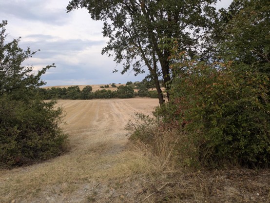 Αγροτεμάχιο 9000 τ.μ. σε πλειστηριασμό Δήμος Κοζάνης