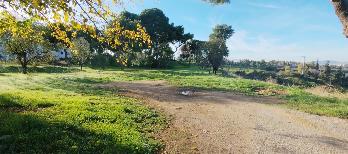 Αγροτεμάχιο  σε πλειστηριασμό Δήμος Κηφισιάς