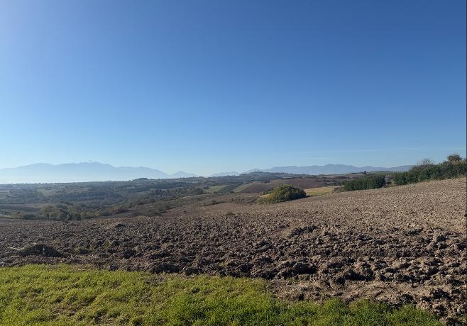 Αγροτεμάχιο  σε πλειστηριασμό Municipality of Pydna - Kolindros