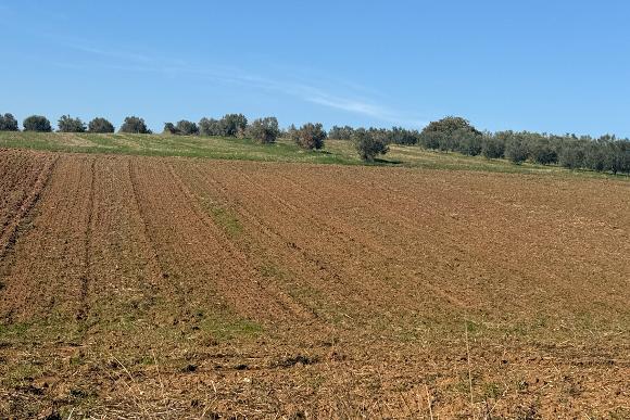 Αγροτεμάχιο  σε πλειστηριασμό Municipality of Pydna - Kolindros