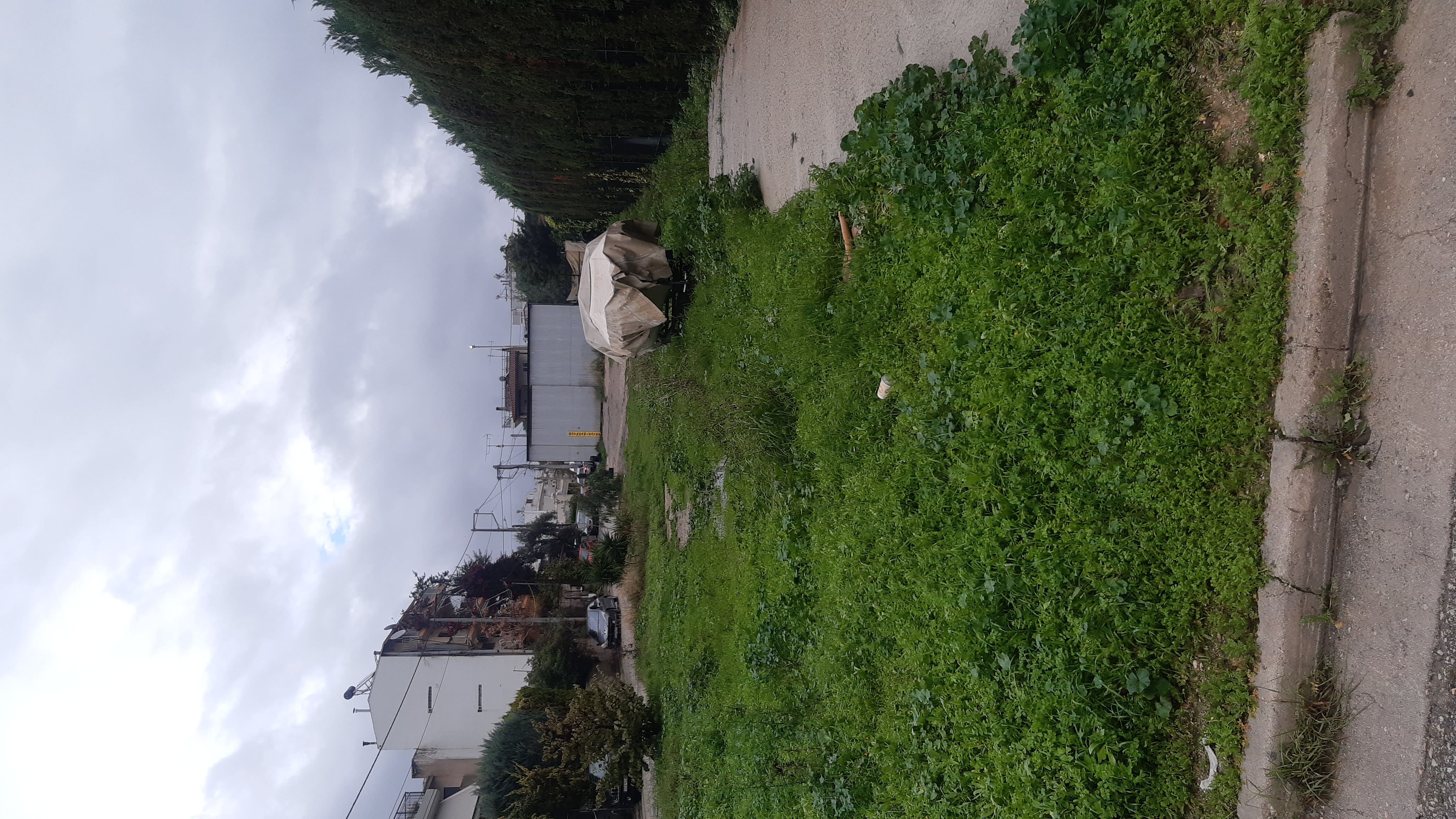 Οικόπεδο 723.10 sq.m. σε πλειστηριασμό Municipality of Acharnon