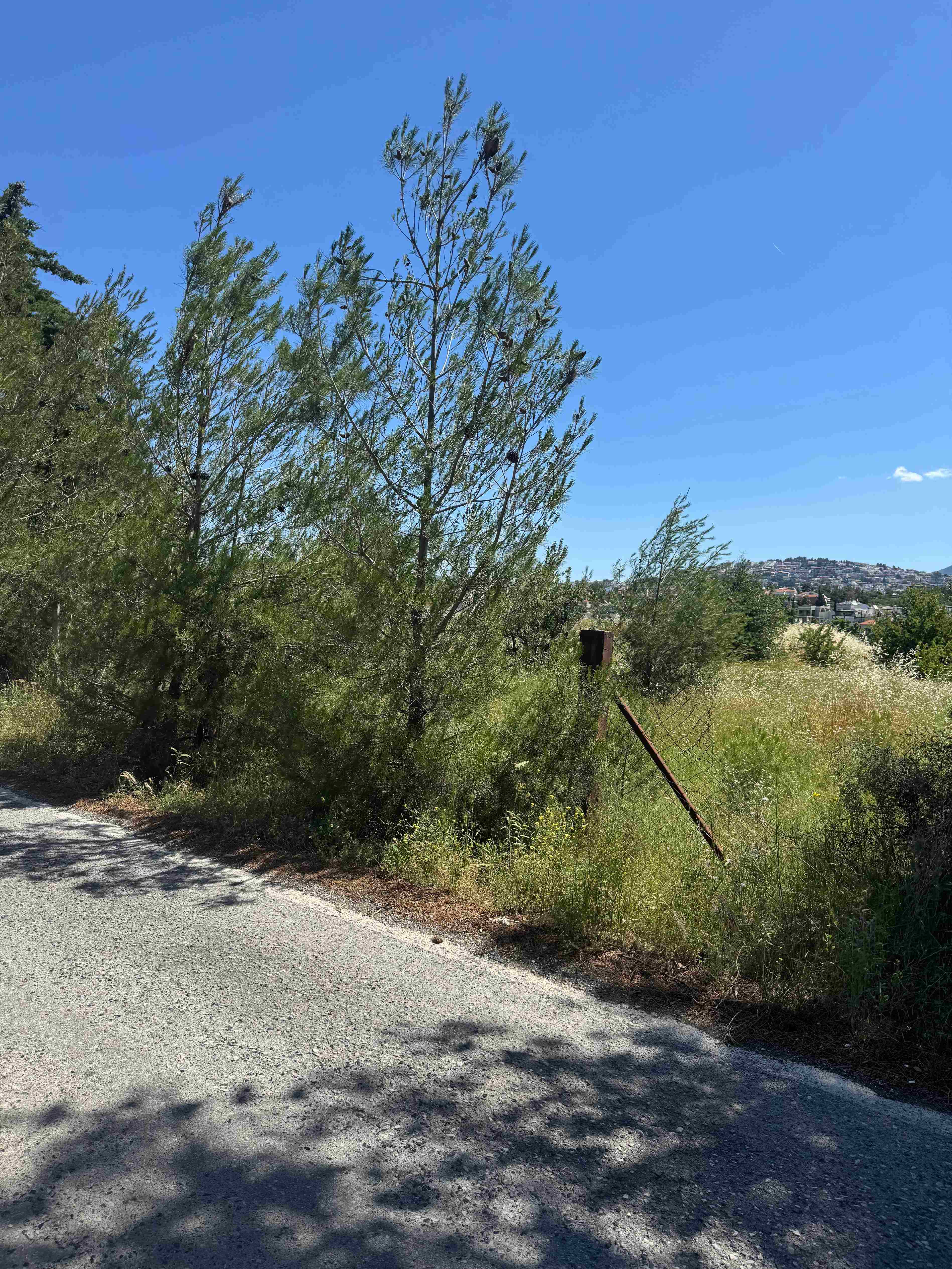 Αγροτεμάχιο  σε πλειστηριασμό Municipality of Pylaia - Hortiati