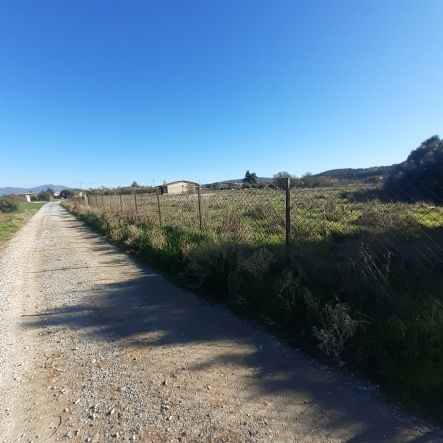 Αγροτεμάχιο  σε πλειστηριασμό Δήμος Θέρμης