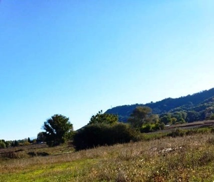 Αγροτεμάχιο με κτίσμα 625 τ.μ. σε πλειστηριασμό Δήμος Άργους Ορεστικού