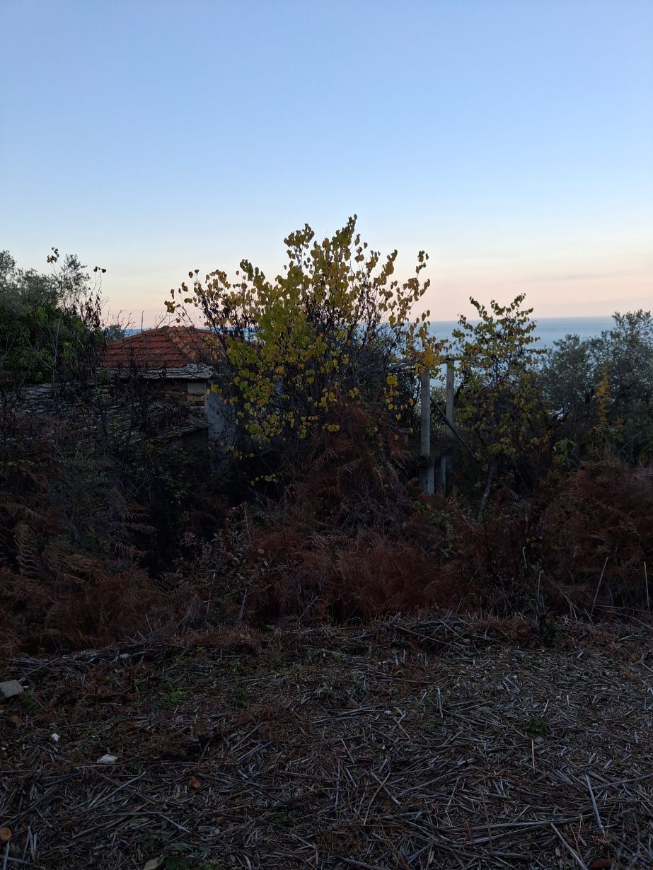 Αγροτεμάχιο με κτίσμα  σε πλειστηριασμό Δήμος Νοτίου Πηλίου