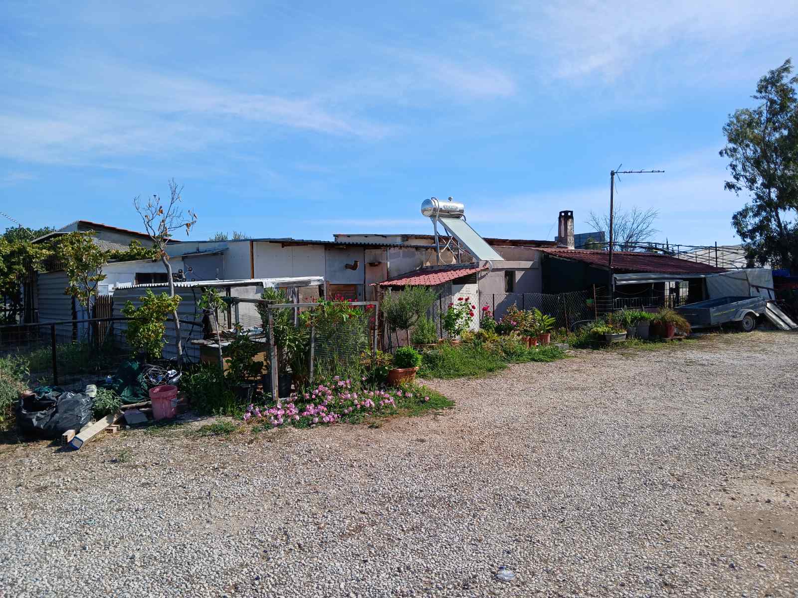 Αγροτεμάχιο  σε πλειστηριασμό Municipality of Acharnon