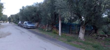 Οικόπεδο  σε πλειστηριασμό Municipality of Zakynthos