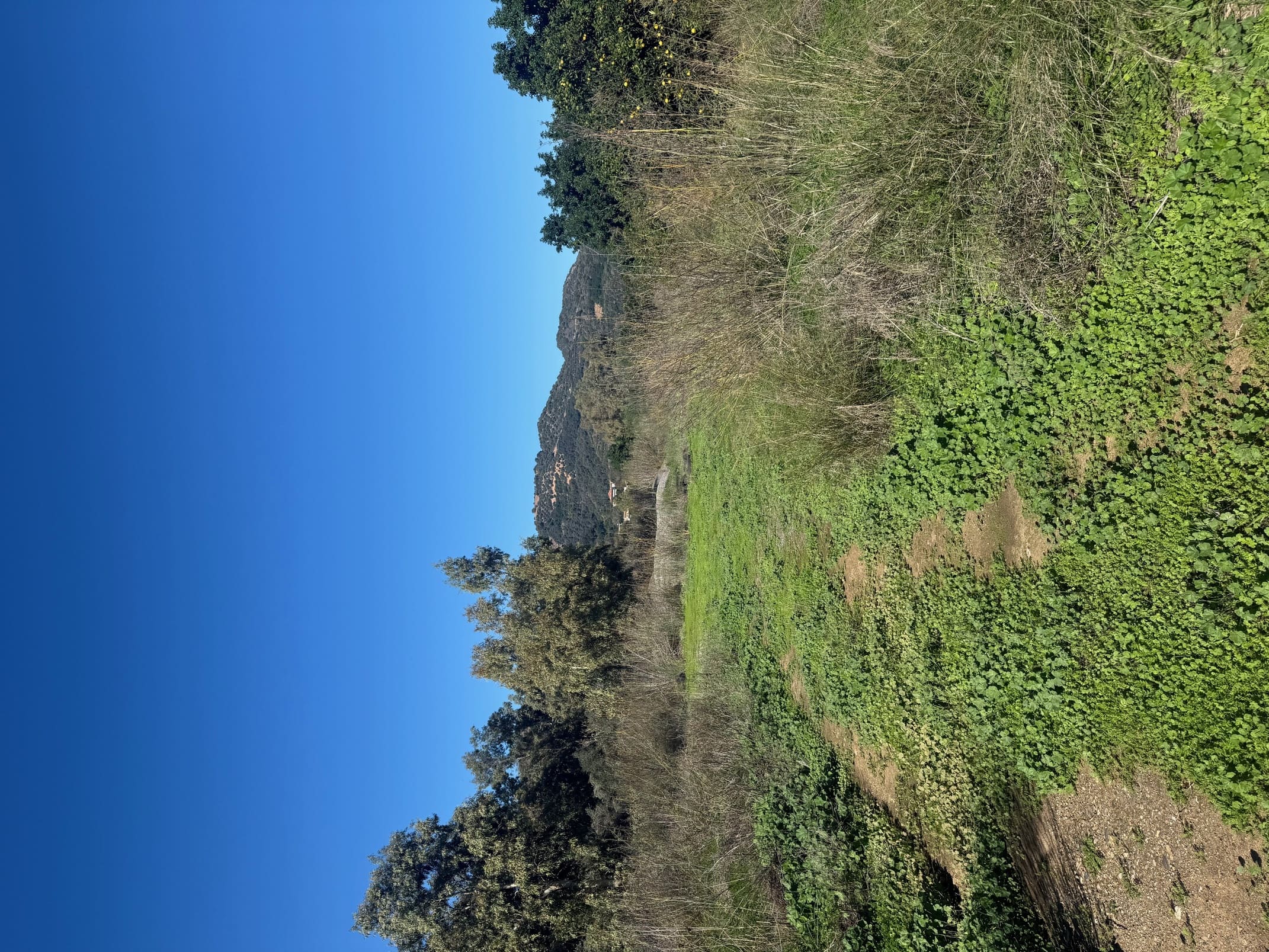 Αγροτεμάχιο  σε πλειστηριασμό Municipality of Platanias