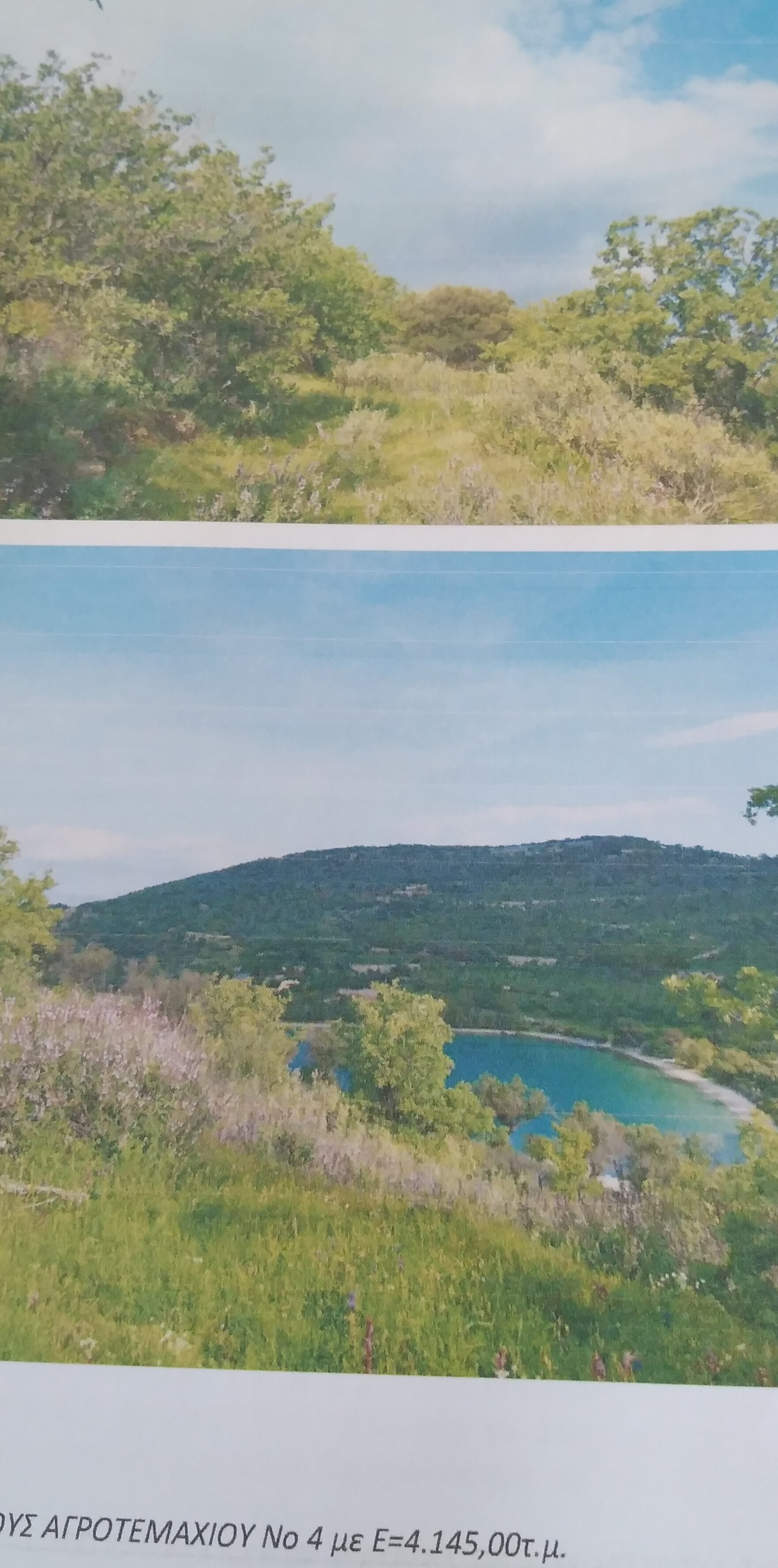 Αγροτεμάχιο 4070 τ.μ. σε πλειστηριασμό Δήμος Κύμης - Αλιβερίου