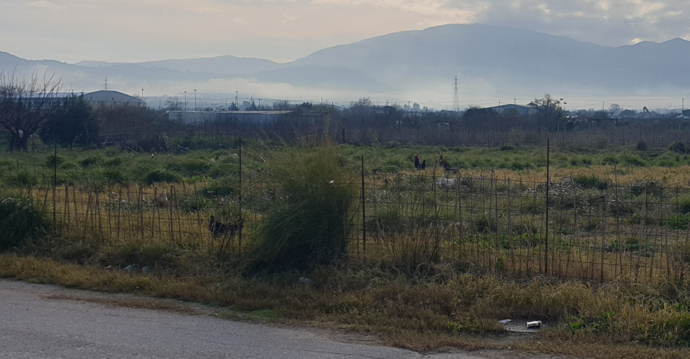 Οικόπεδο 503.88 τ.μ. σε πλειστηριασμό Δήμος Άκτιου - Βόνιτσας