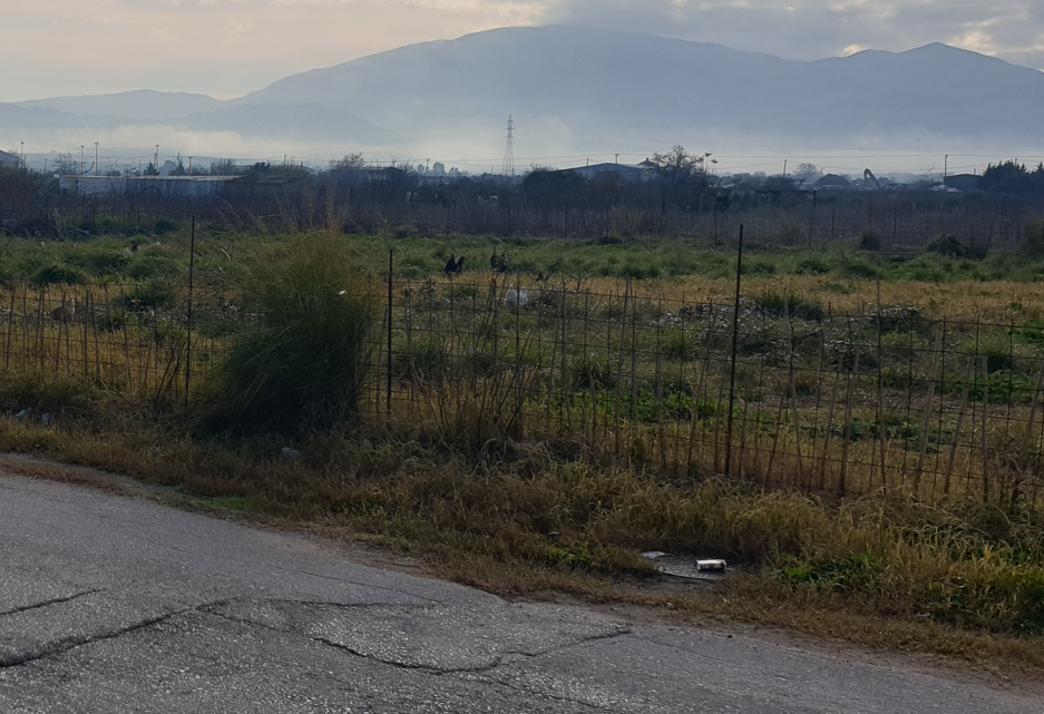 Οικόπεδο 501.70 τ.μ. σε πλειστηριασμό Δήμος Άκτιου - Βόνιτσας