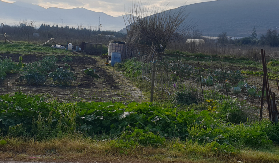 Οικόπεδο 283 τ.μ. σε πλειστηριασμό Δήμος Άκτιου - Βόνιτσας