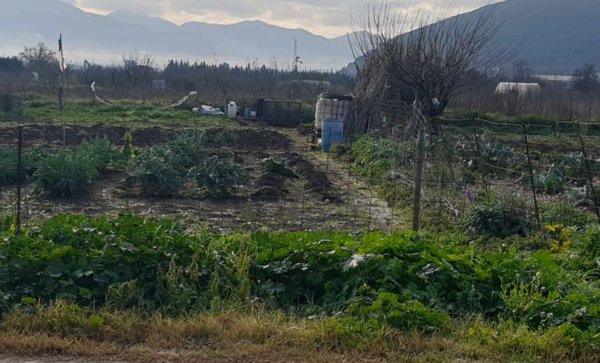 Οικόπεδο 463 τ.μ. σε πλειστηριασμό Δήμος Άκτιου - Βόνιτσας