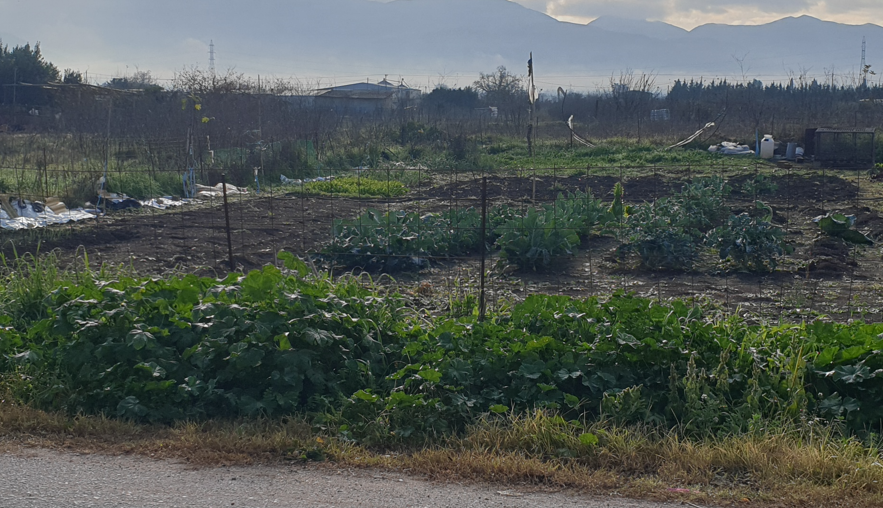 Οικόπεδο 436 τ.μ. σε πλειστηριασμό Δήμος Άκτιου - Βόνιτσας