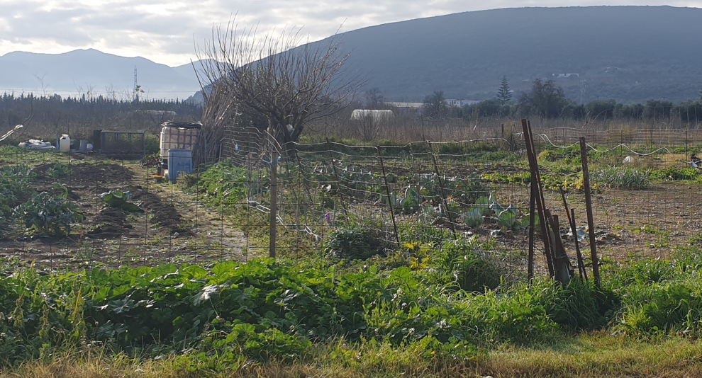 Οικόπεδο 267 τ.μ. σε πλειστηριασμό Δήμος Άκτιου - Βόνιτσας