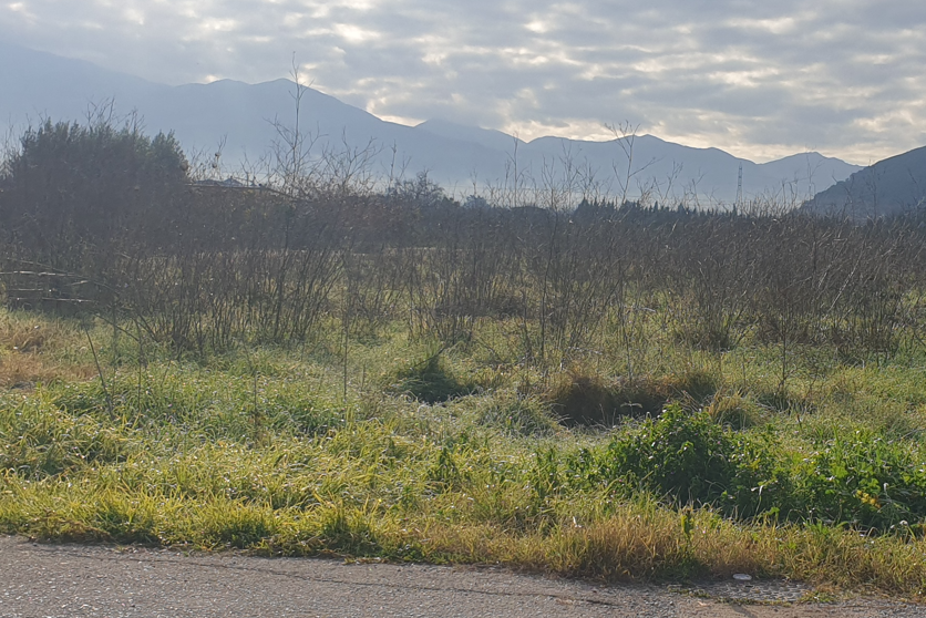 Οικόπεδο 356 τ.μ. σε πλειστηριασμό Δήμος Άκτιου - Βόνιτσας