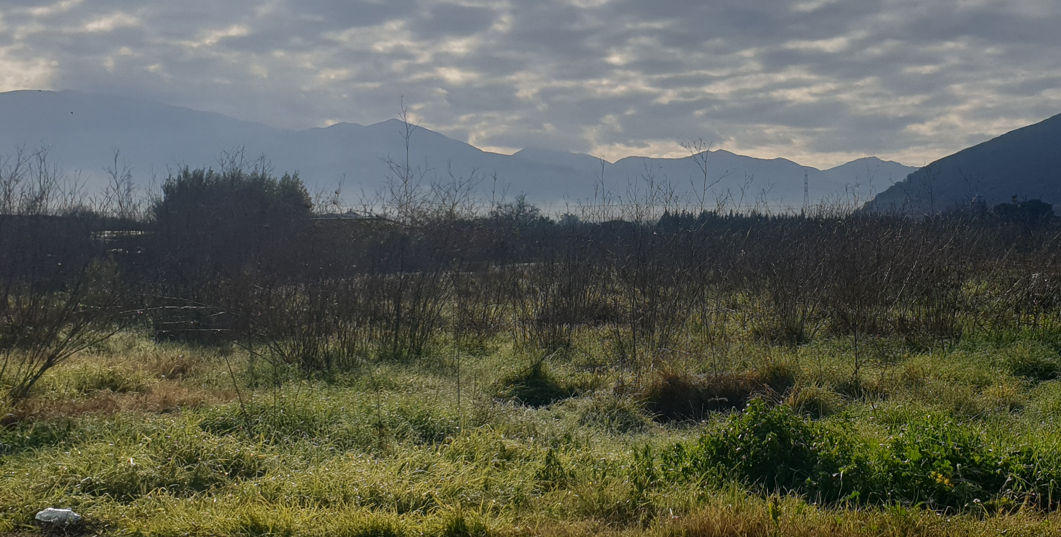 Οικόπεδο 502.92 τ.μ. σε πλειστηριασμό Δήμος Άκτιου - Βόνιτσας