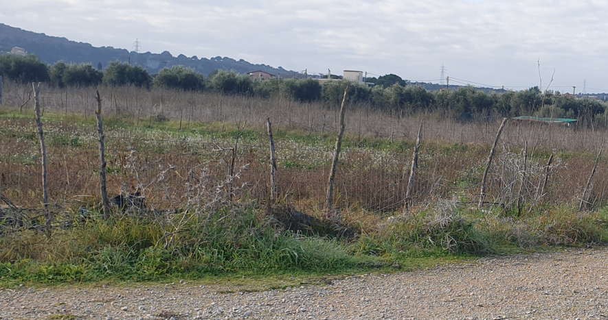 Οικόπεδο 258 τ.μ. σε πλειστηριασμό Δήμος Άκτιου - Βόνιτσας