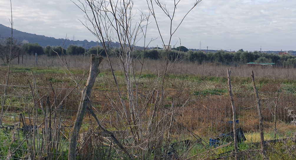 Οικόπεδο 501.10 τ.μ. σε πλειστηριασμό Δήμος Άκτιου - Βόνιτσας