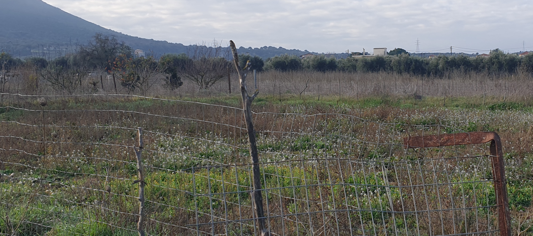 Οικόπεδο 500.87 τ.μ. σε πλειστηριασμό Δήμος Άκτιου - Βόνιτσας