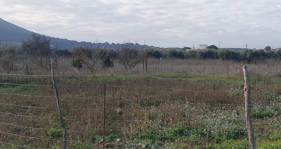 Οικόπεδο 504 τ.μ. σε πλειστηριασμό Δήμος Άκτιου - Βόνιτσας