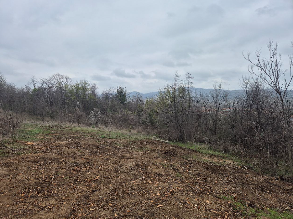 Οικόπεδο 735 τ.μ. σε πλειστηριασμό Δήμος Έδεσσας