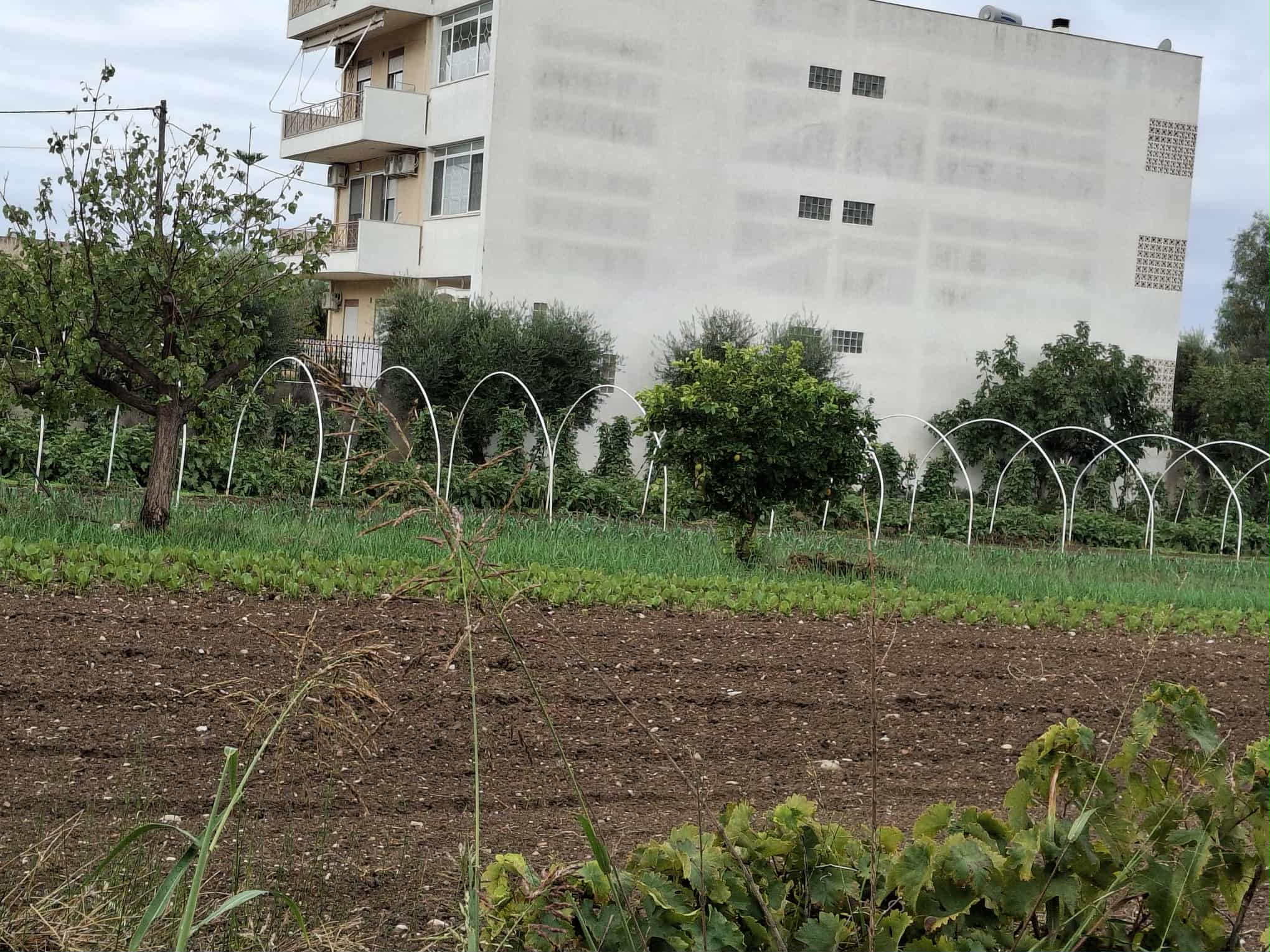 Οικόπεδο  σε πλειστηριασμό Δήμος Πατρέων