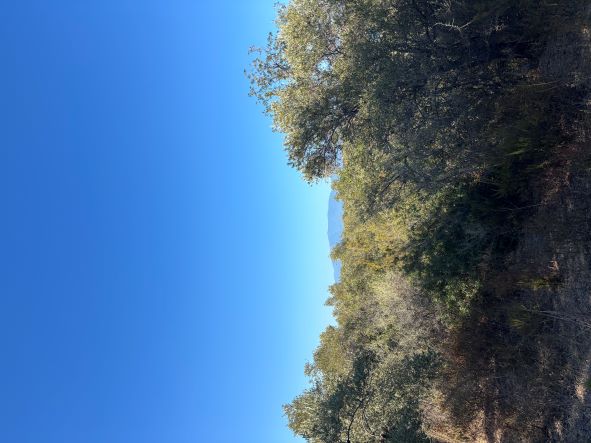 Αγροτεμάχιο  σε πλειστηριασμό Δήμος Νοτίου Πηλίου