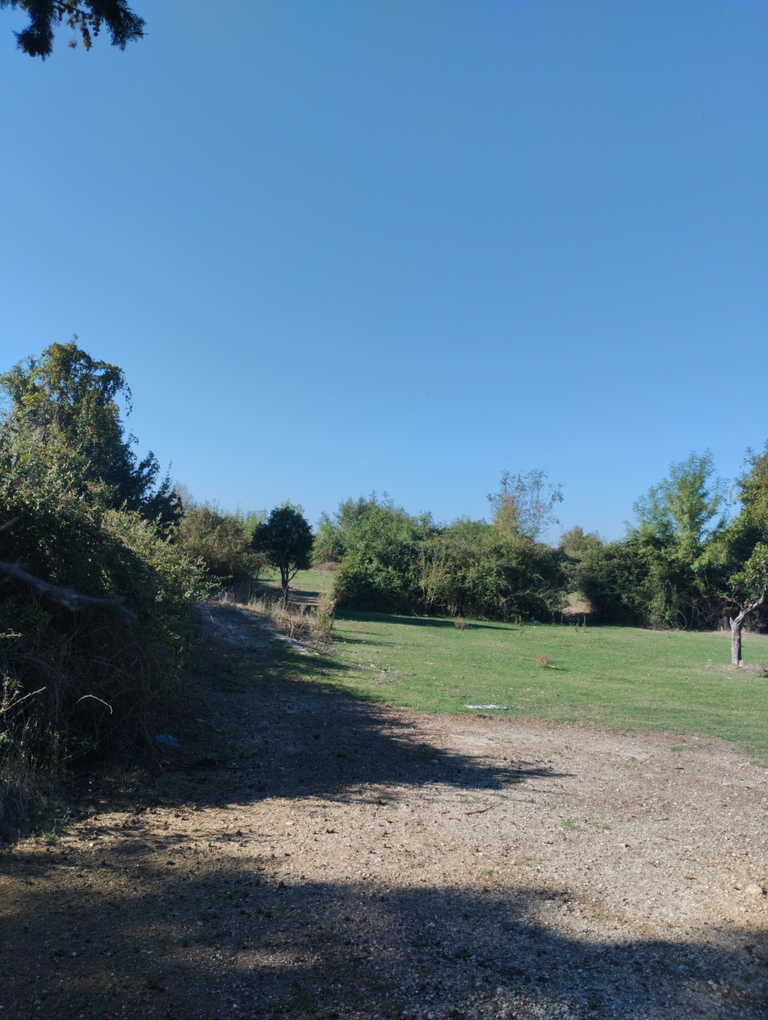 Αγροτεμάχιο 84.14 τ.μ. σε πλειστηριασμό Δήμος Πρέβεζας