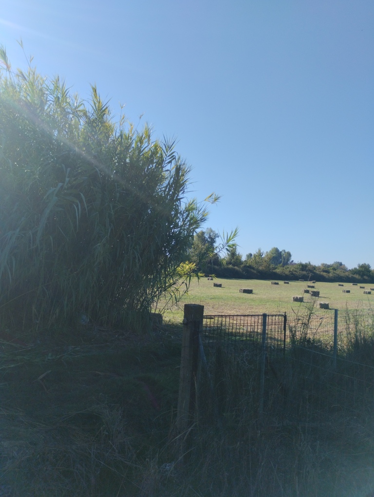 Αγροτεμάχιο 84136 τ.μ. σε πλειστηριασμό Δήμος Πρέβεζας