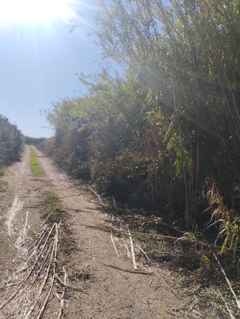 Αγροτεμάχιο 84136 τ.μ. σε πλειστηριασμό Δήμος Πρέβεζας
