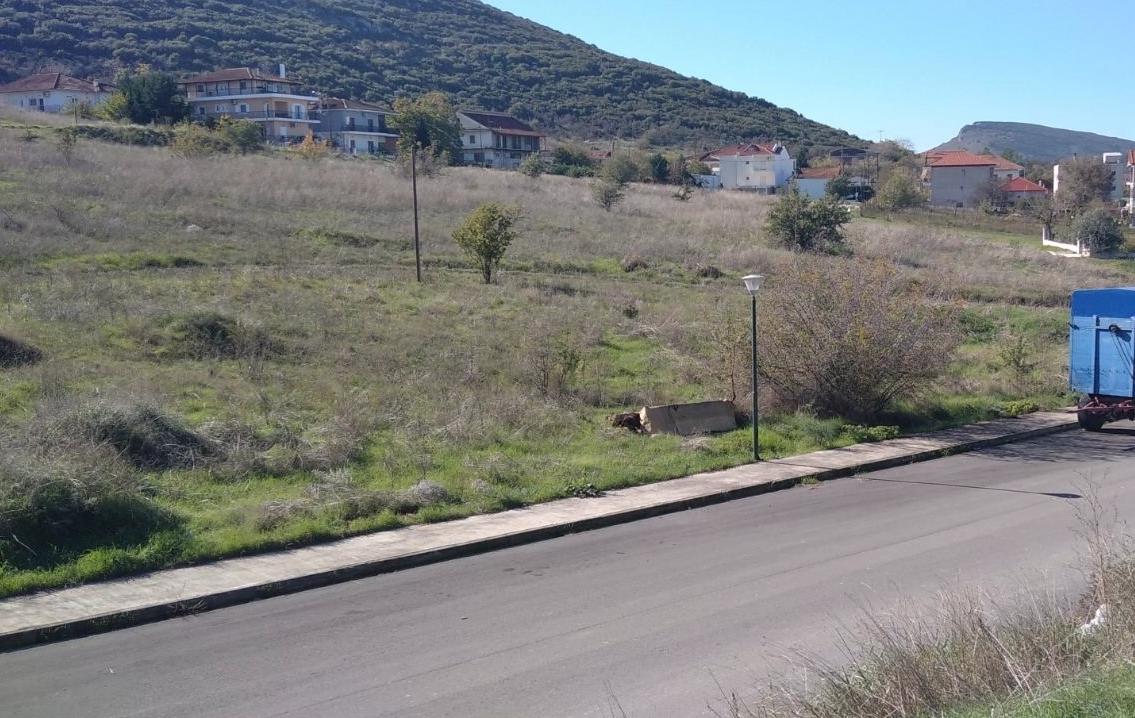 Οικόπεδο  σε πλειστηριασμό Municipality of Farsala