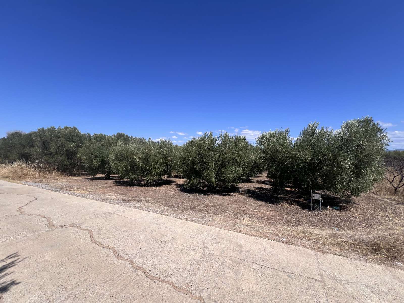 Οικόπεδο 836 τ.μ. σε πλειστηριασμό Δήμος Νέας Προποντίδας